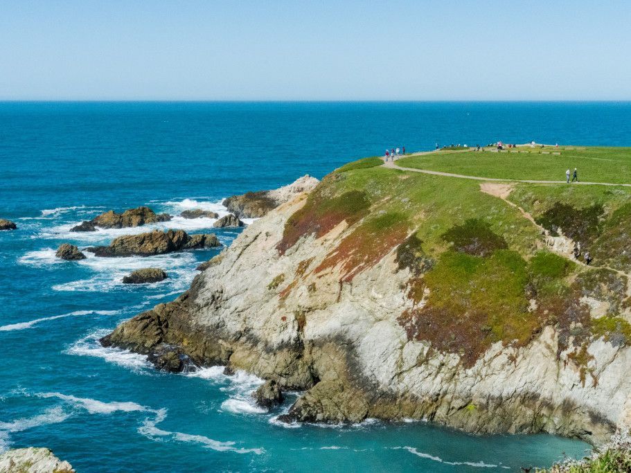 Bodega Head