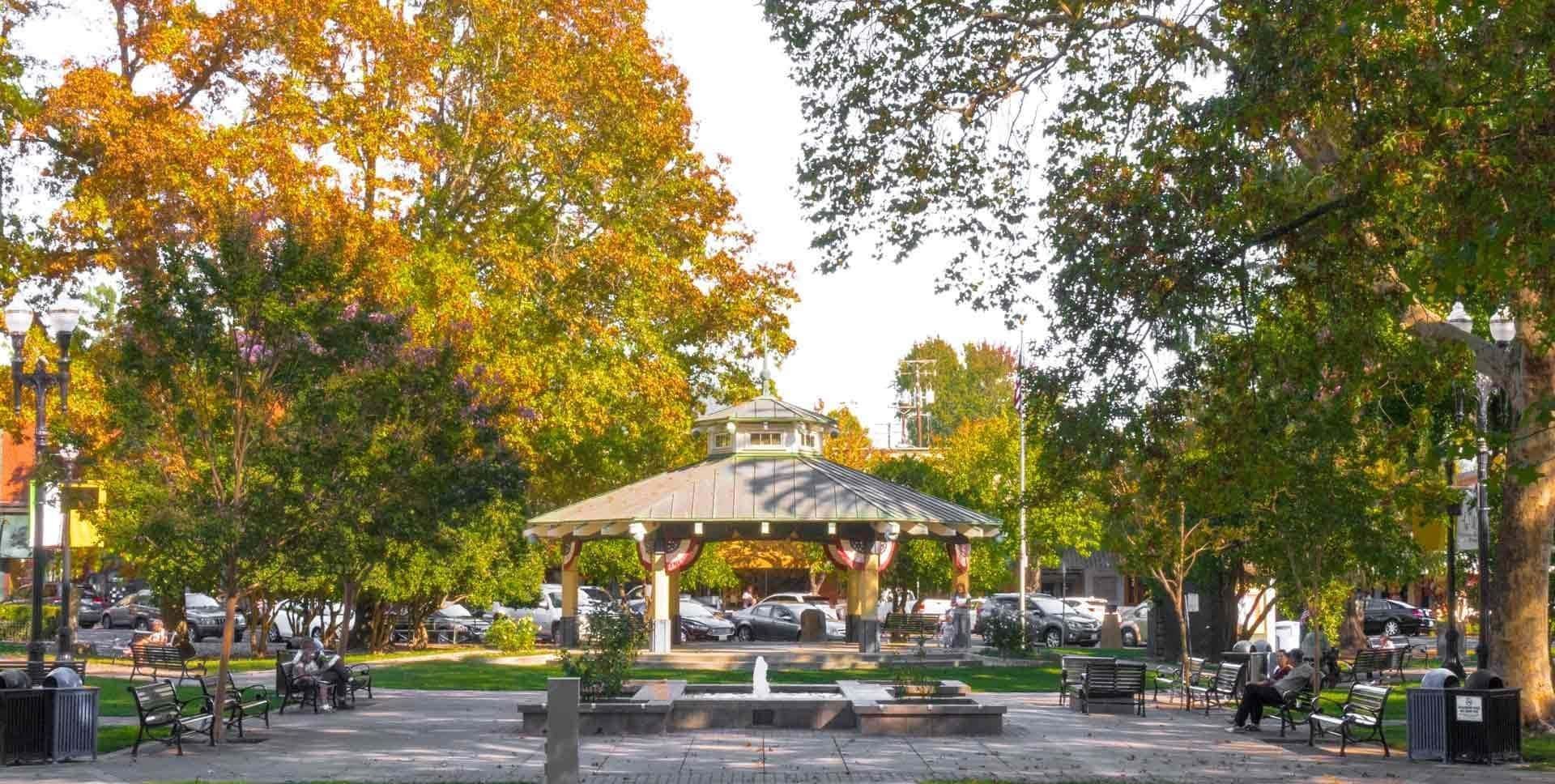 Nearest cannabis dispensary to healdsburg