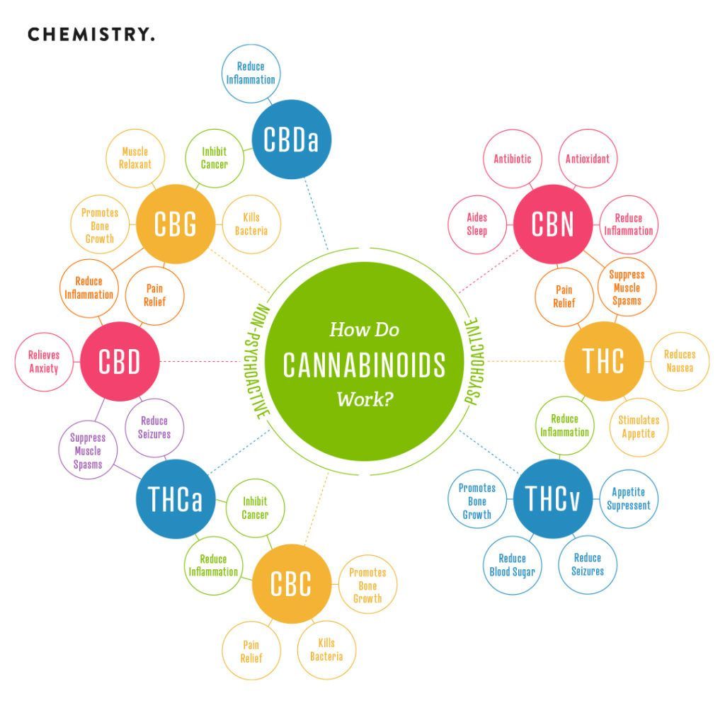 Diagram showing how cannabinoids work. Circles radiate out, each labeled with a cannabinoid (CBD, CBG, etc.) and  effects.