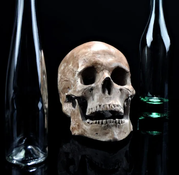 Skull between two empty glass bottles, all on a black reflective surface.