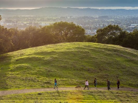  Taylor Mountain Regional Park: 