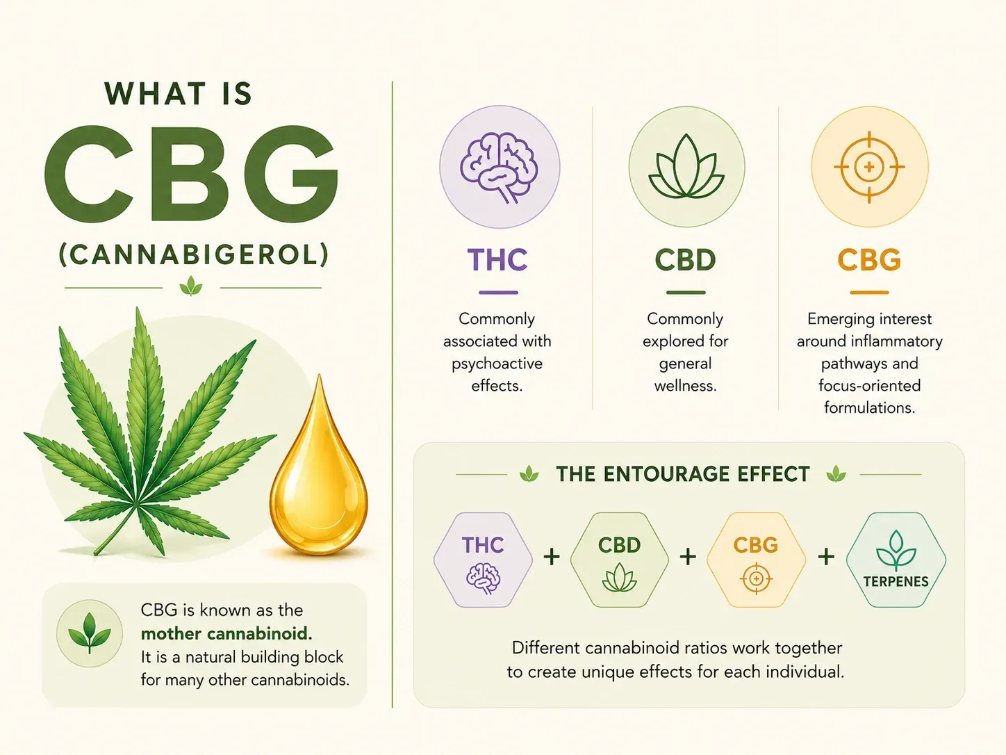 What is CBG Cannabigerol