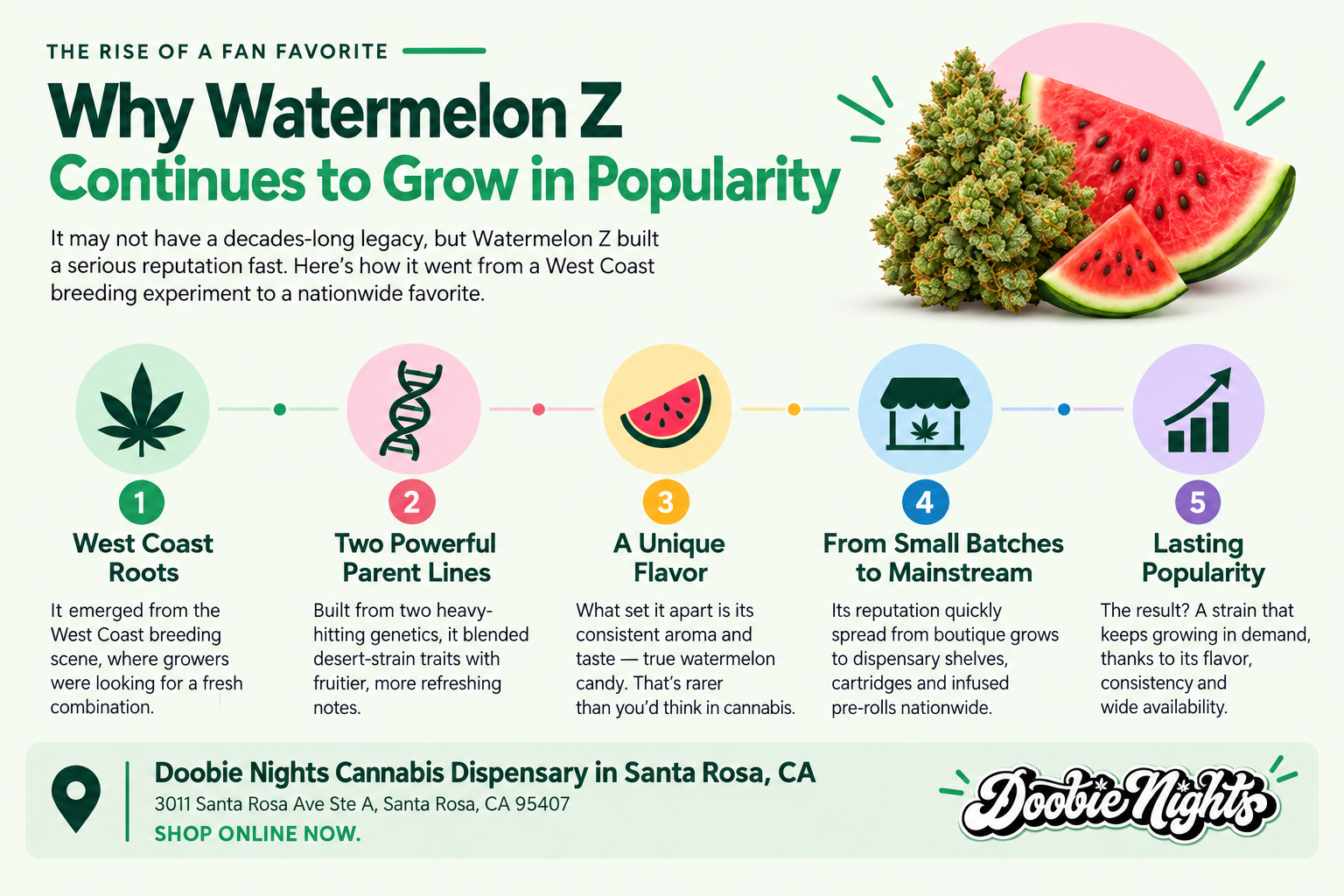 Why Watermelon Z Continues to Grow in Popularity