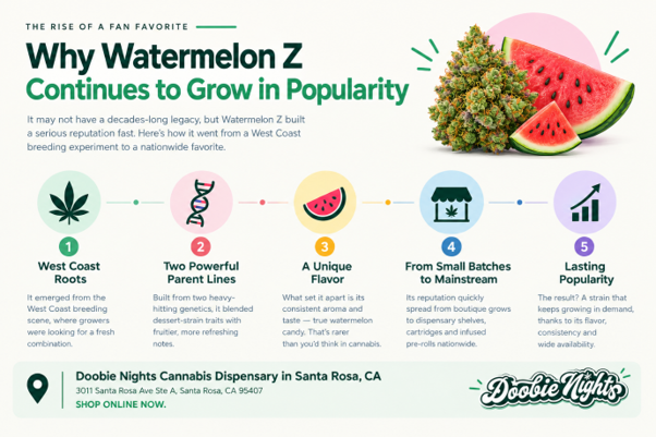 Why Watermelon Z Continues to Grow in Popularity