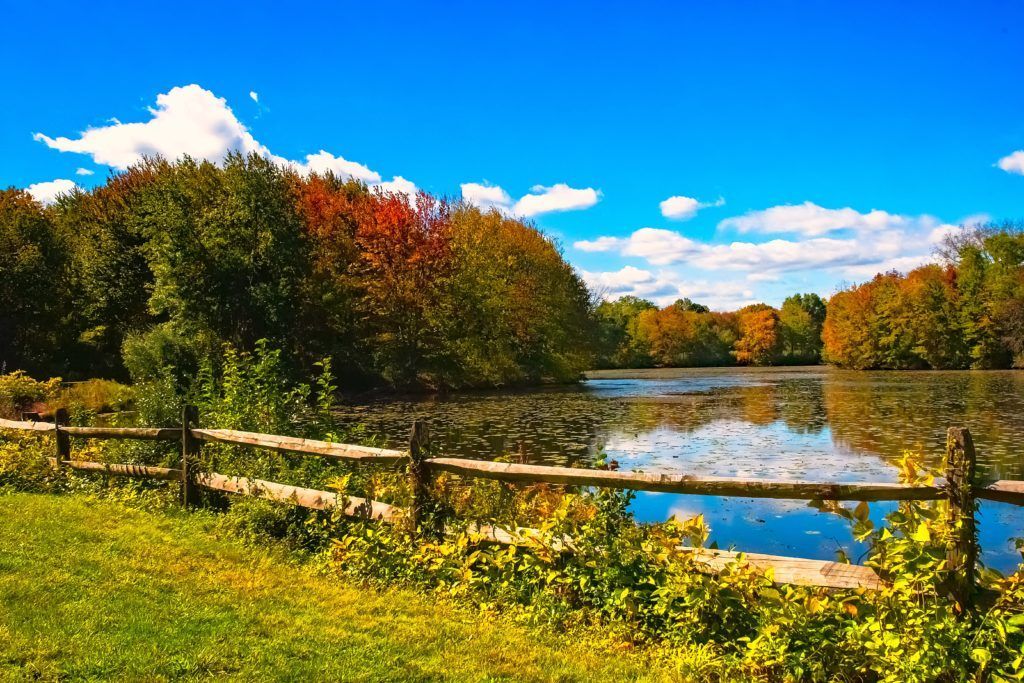 A scenic autumn view of a lake bordered by trees with colorful foliage and a wooden fence.