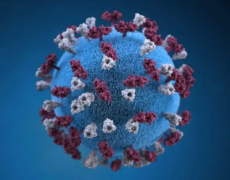 3D rendering of a blue Coronavirus particle with red and white protein spikes on a blue background.
