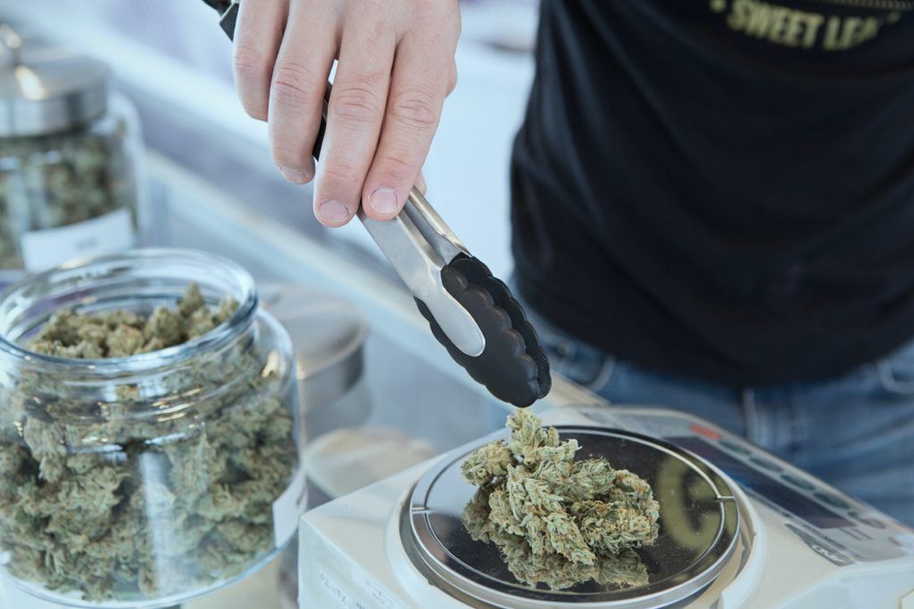 Person using tongs to weigh cannabis buds on a scale in a dispensary. Jars of cannabis are visible in the background.