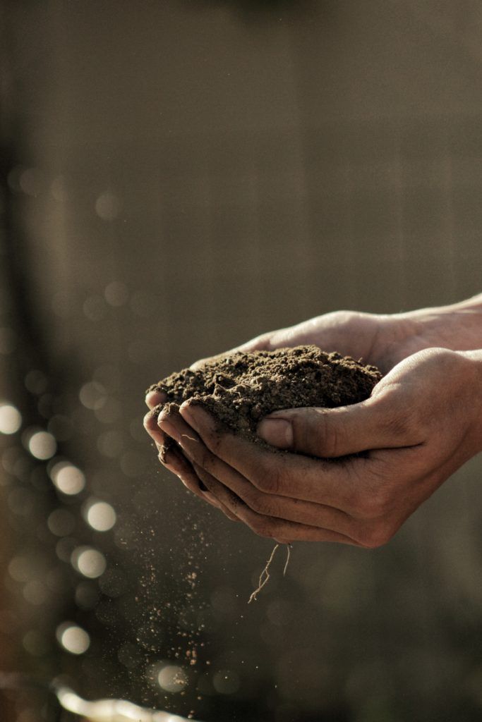 Hands cupped, holding a mound of dark soil, with light streaming in the background.