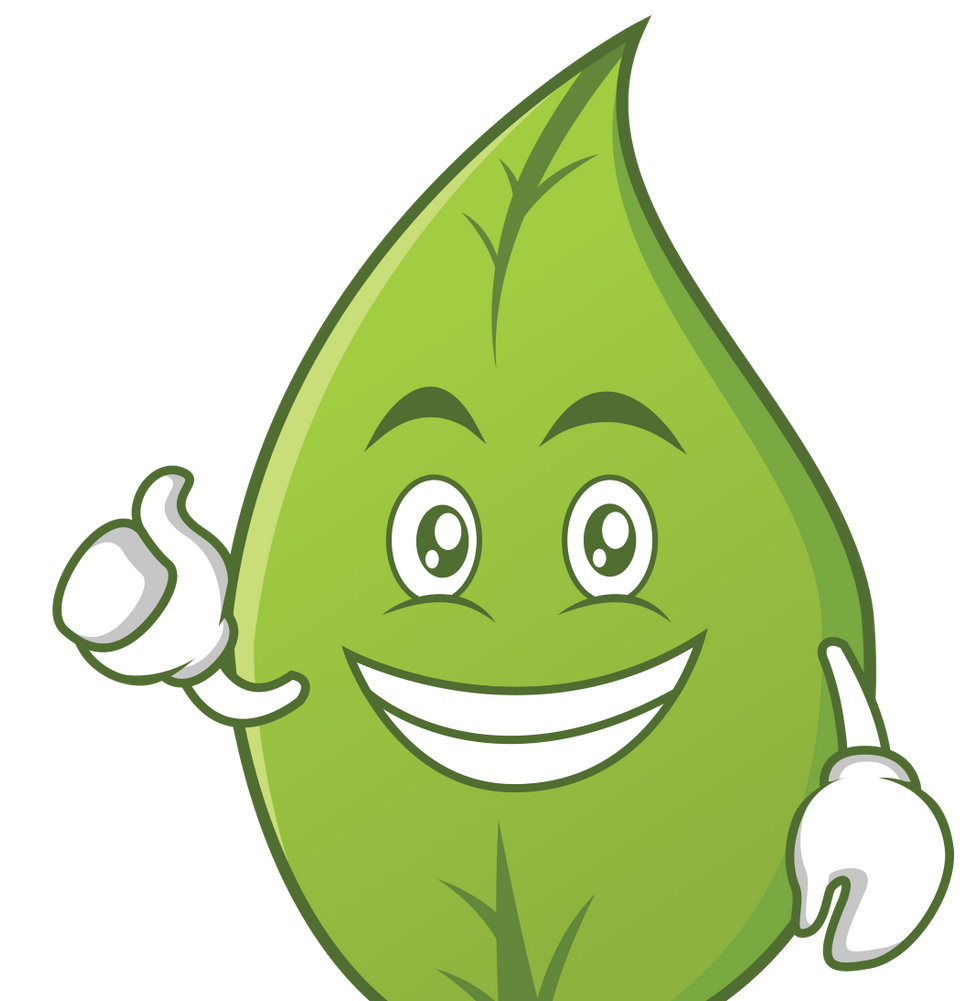 A green leaf is smiling and giving a thumbs up