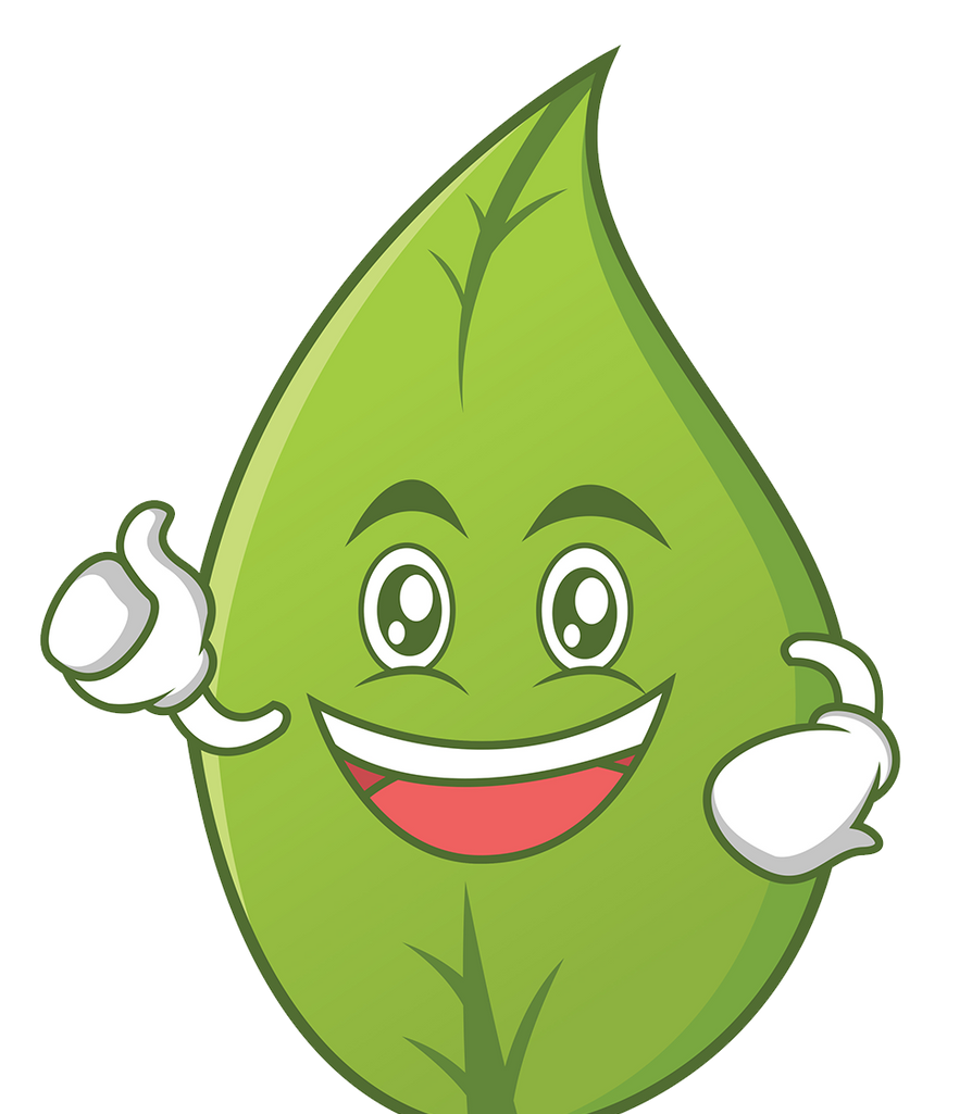 A green leaf with a face and hands is smiling and giving a thumbs up