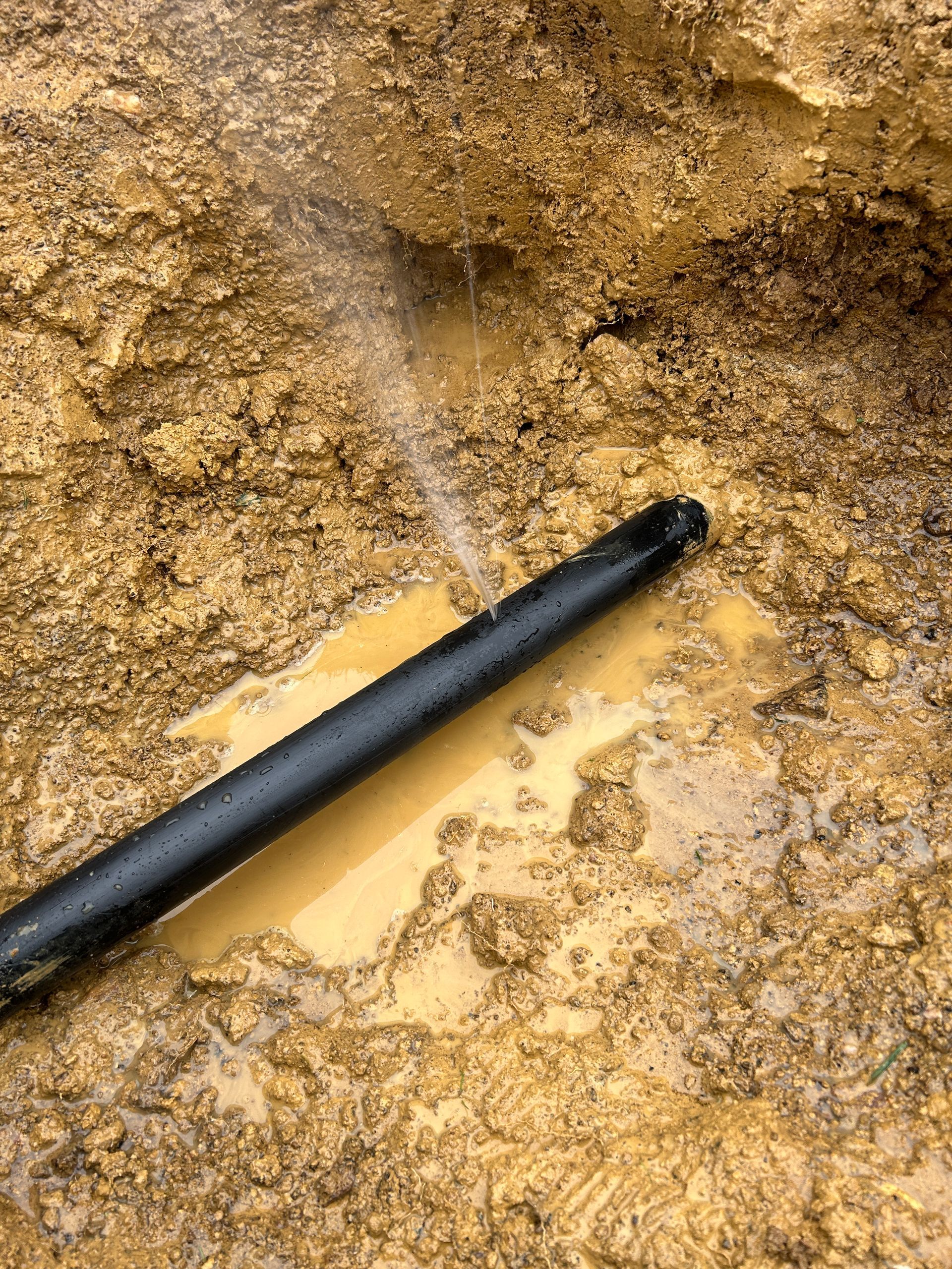 Black hose spraying water onto muddy tan ground.