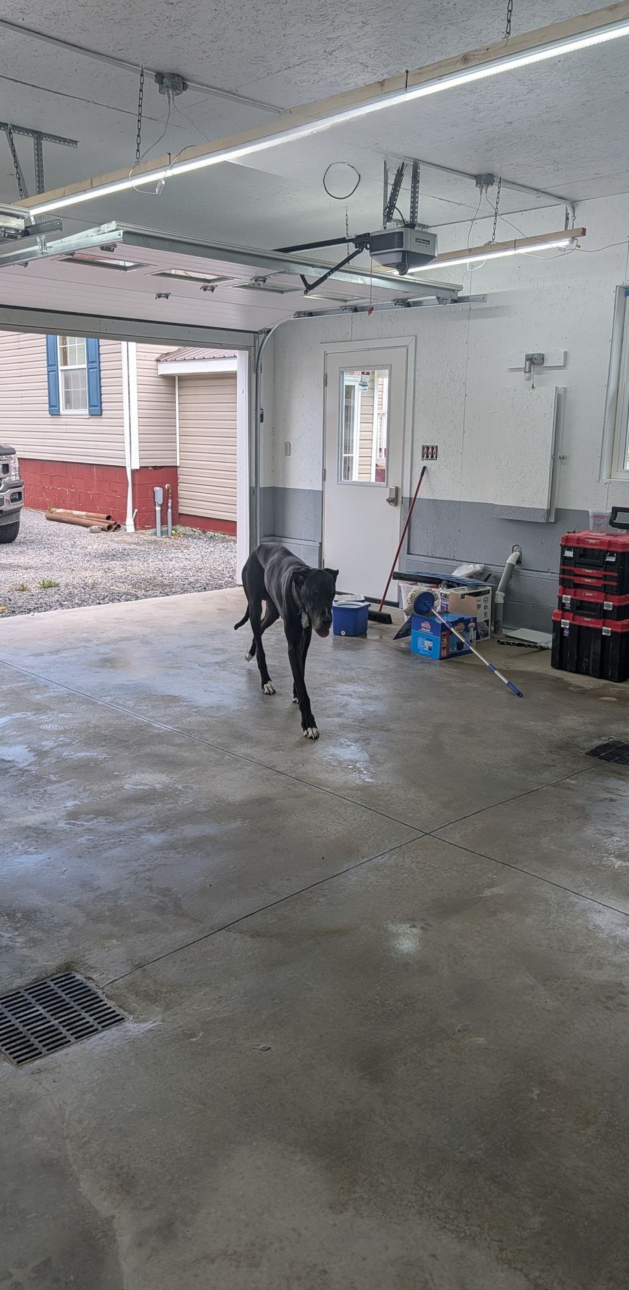 Speckled gray epoxy floor with a row of blue Lowe’s shopping carts in the background