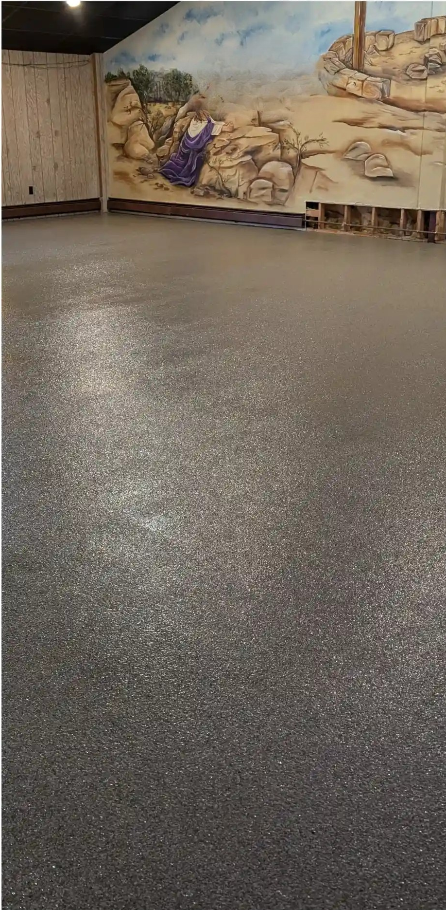 Empty indoor room with a large desert mural and a speckled gray floor