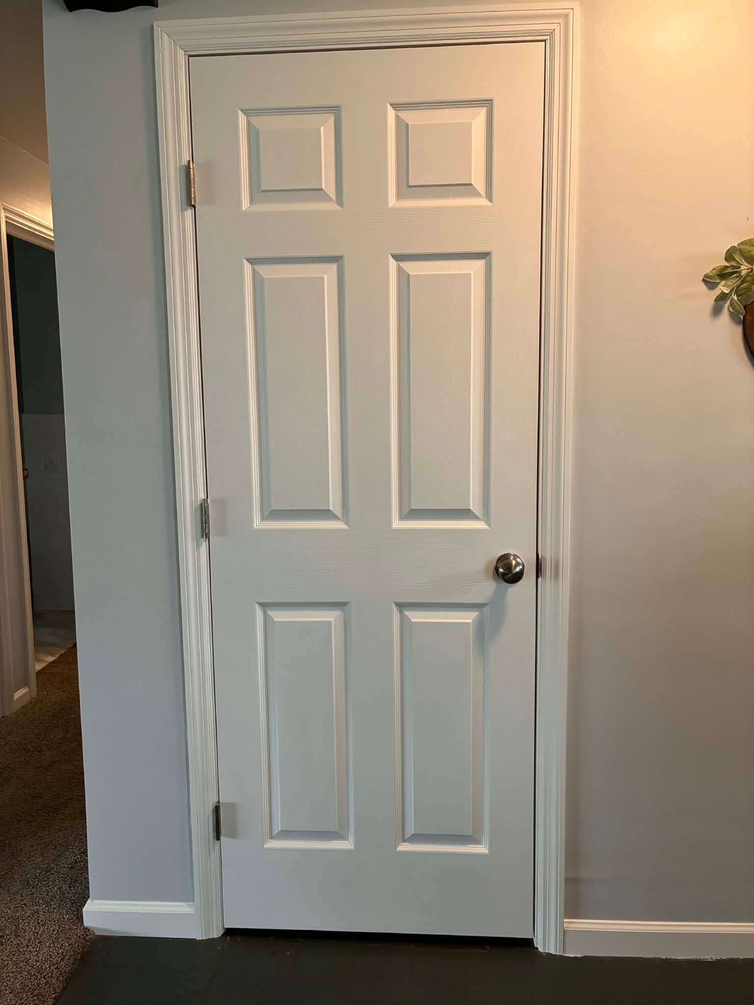 White paneled interior door with a silver knob in a hallway, framed by light gray walls and trim.
