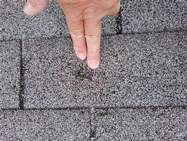 Hand pointing to a damaged asphalt shingle with a small puncture on a roof surface