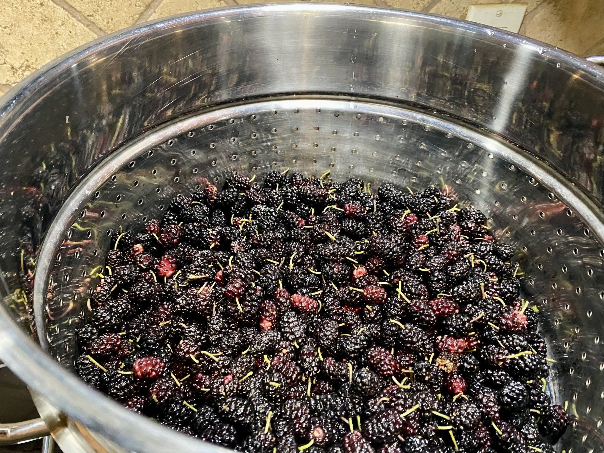 Fruits