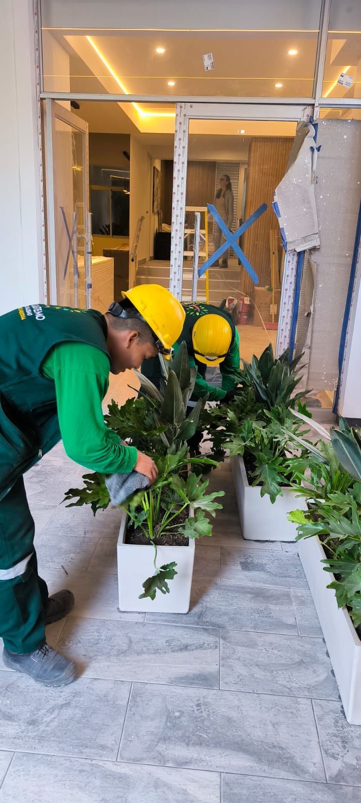 Niño estirándose para ajustar un tapiz verde junto a unas plantas en maceta en una escalera.