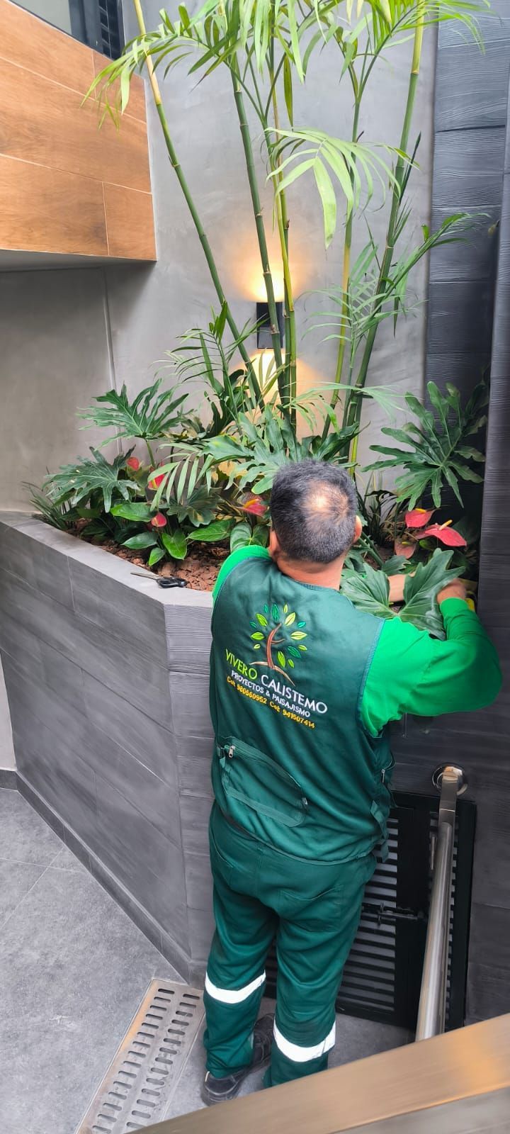 Una persona con uniforme verde cuidando las plantas en un jardín interior estrecho junto a una pared gris