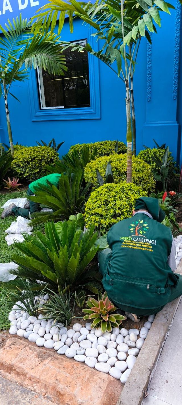 Un jardinero arrodillado en un jardín ajardinado, junto a un edificio azul brillante y piedras blancas
