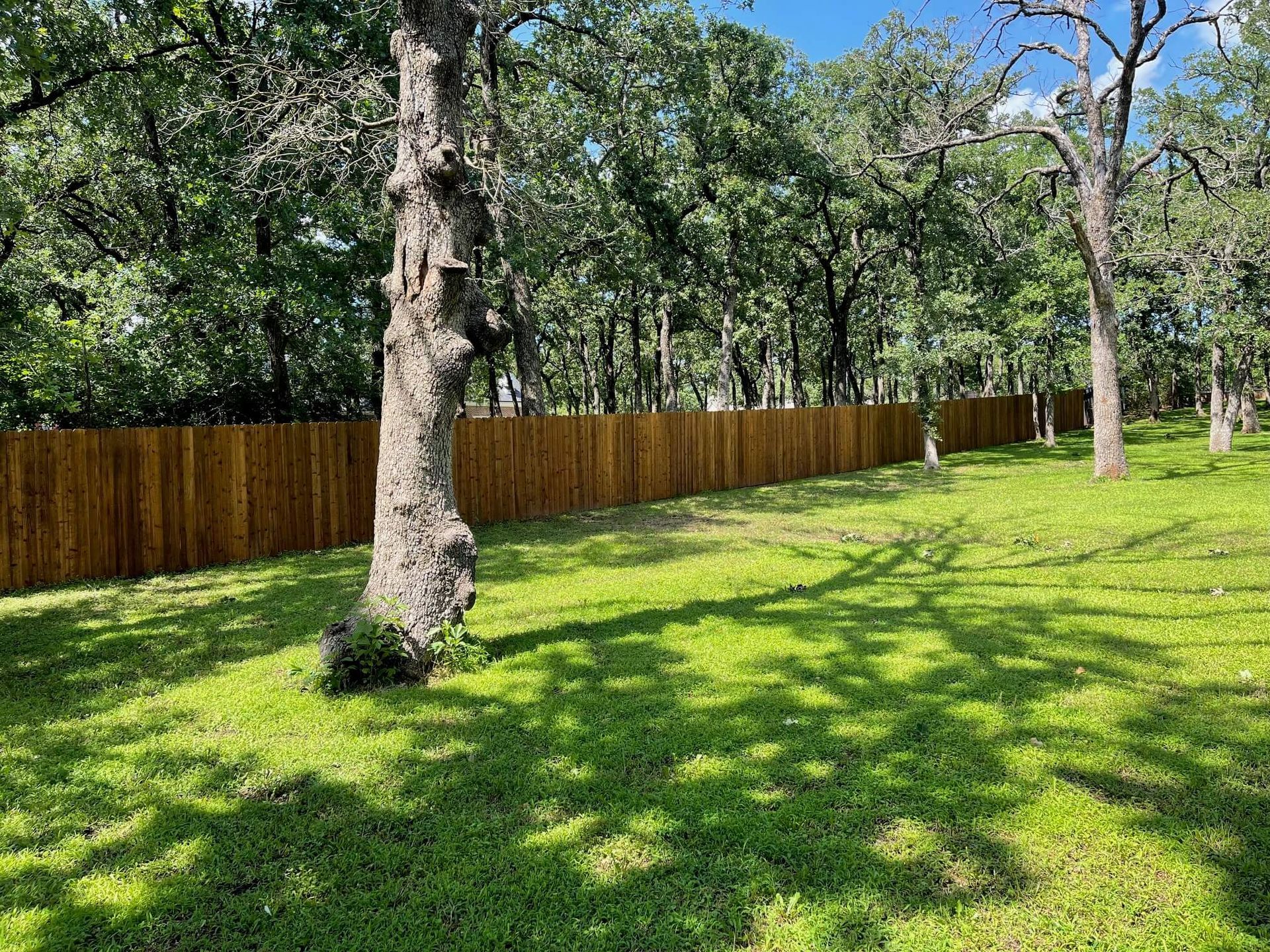 A Wooden Fence Surrounds a Lush Green Field Surrounded by Trees