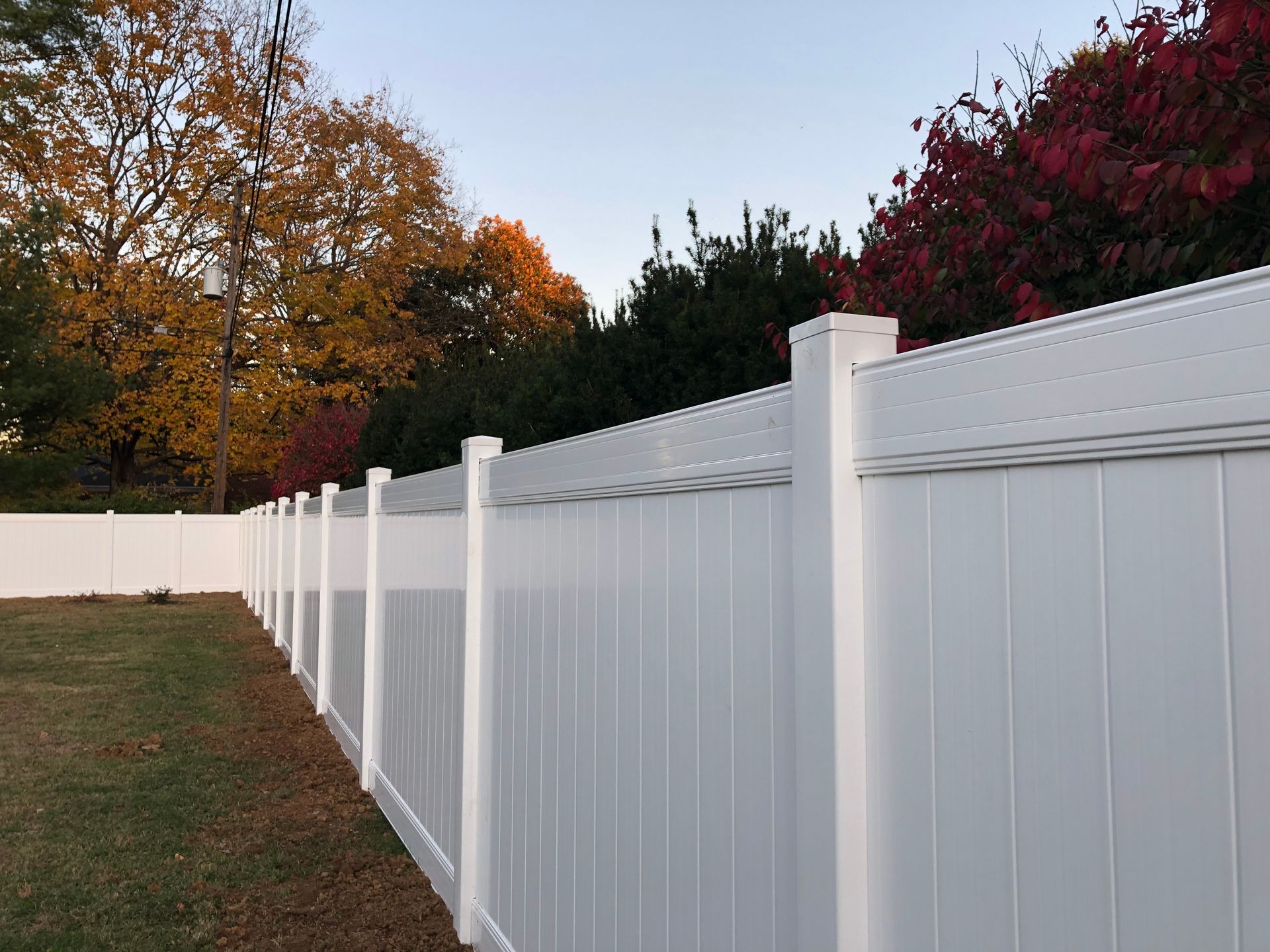 A Wooden Fence Is Surrounded by Trees in A Backyard
