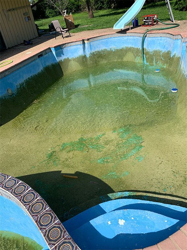 A murky green pool with blue edges, steps, and a slide in an outdoor setting.