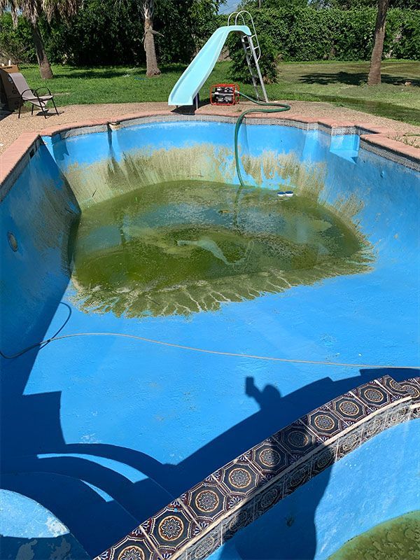 Empty algae-filled swimming pool with a blue slide, in a grassy yard on a sunny day.