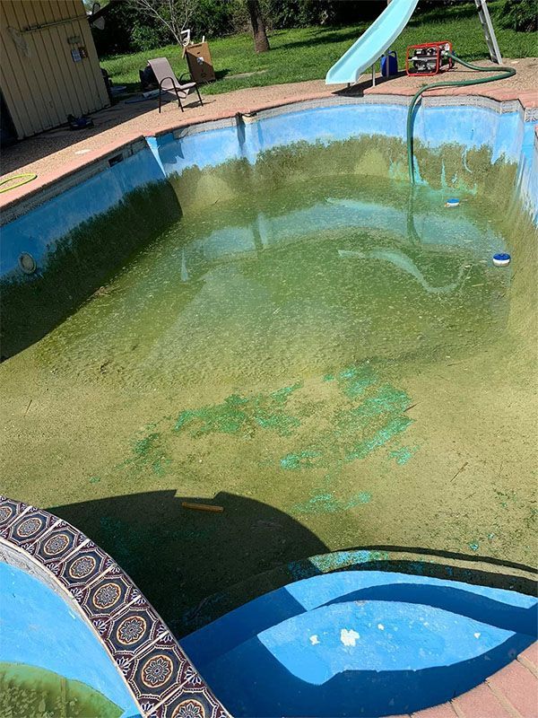 A neglected swimming pool filled with green algae. Blue tile steps and a slide are visible.