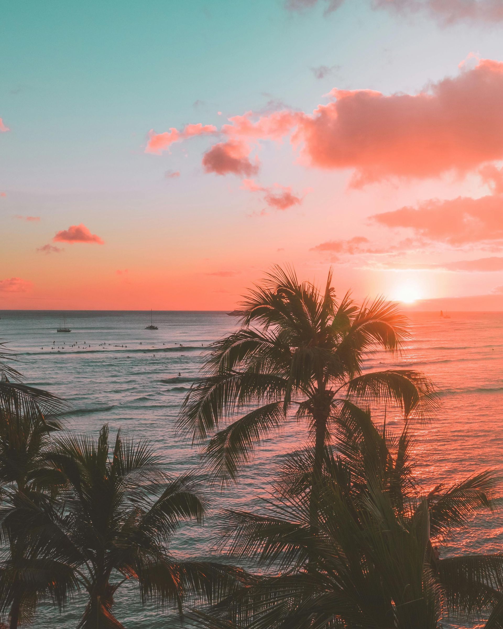 Sunset over ocean; palm trees in silhouette. Orange and pink sky with turquoise accents.