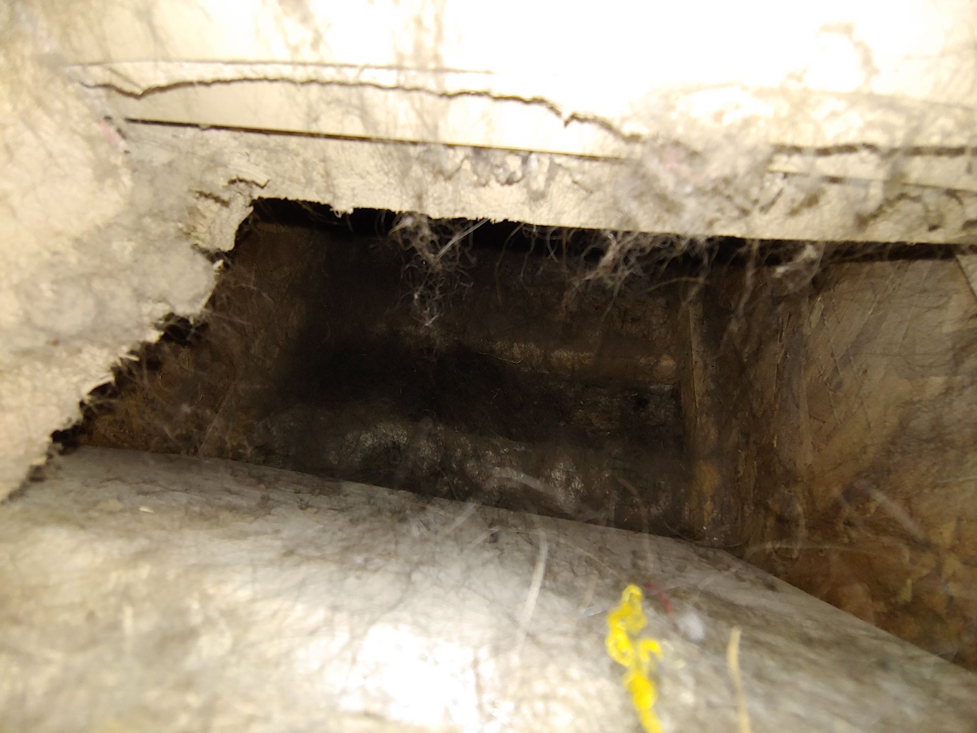 Dark tunnel opening in a rocky cave with light stone walls and a wet floor