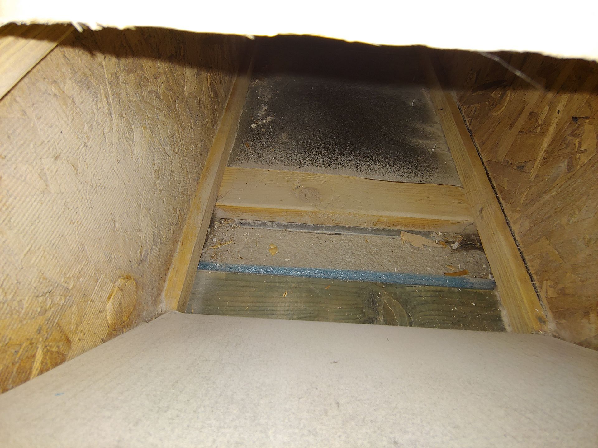 View from inside a narrow concrete drain or tunnel, looking upward toward a dark opening.