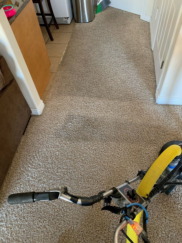 Carpeted hallway with a bicycle handlebar visible in the foreground