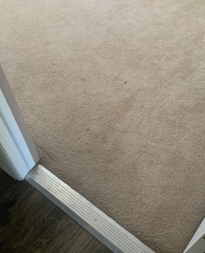 Carpeted doorway threshold with white trim and dark wood floor visible inside