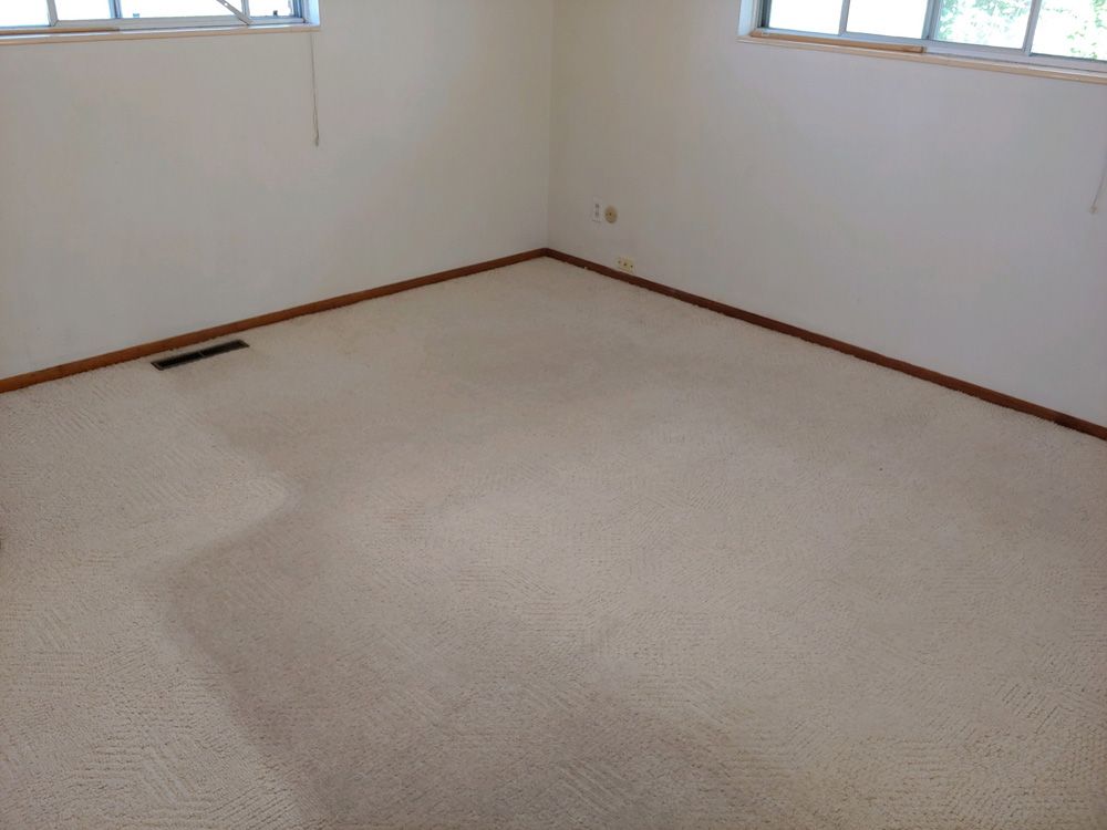 Empty beige room with carpet, white walls, and windows near the ceiling