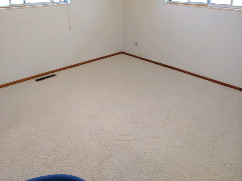 Empty beige carpeted room with white walls and dark wood trim, viewed from a corner.