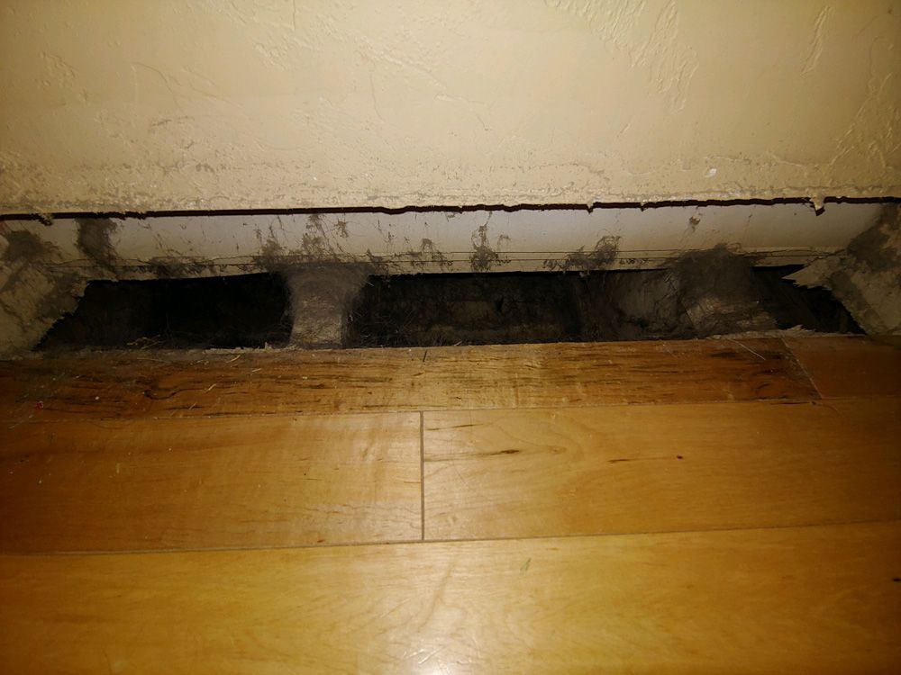 Damaged wall base with dark mold stains above a hardwood floor.
