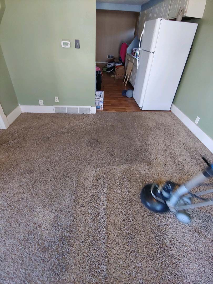 Carpeted room with green walls, doorway to a cluttered space, and a vacuum cleaner in the foreground