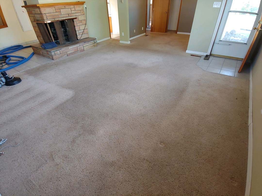 Empty beige-carpeted living room with a fireplace and sliding glass door
