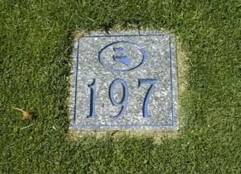 Stone marker with the number 197 on grass, topped by a blue circular symbol.