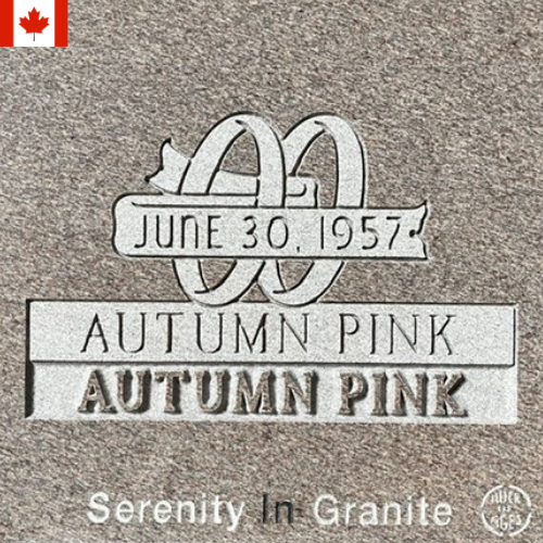 Granite memorial for Autumn Pink with ribbon and date June 30, 1957