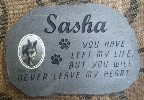 Gray memorial plaque for Sasha with dog photo and paw prints, reading “You have left my life, but you will never leave my heart.”