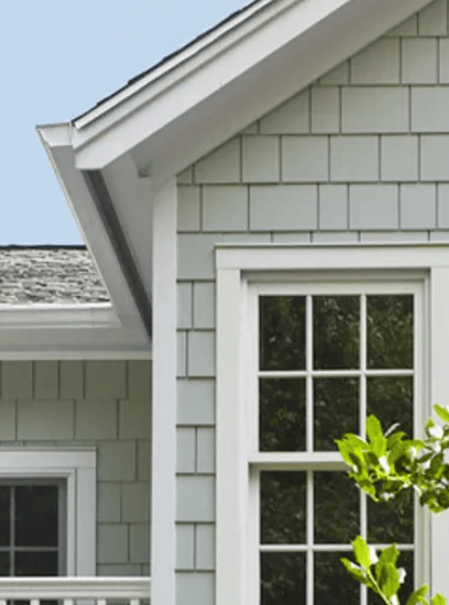 Light siding with windows and roof