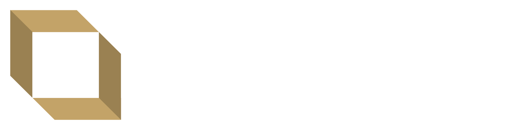 Company Logo - White