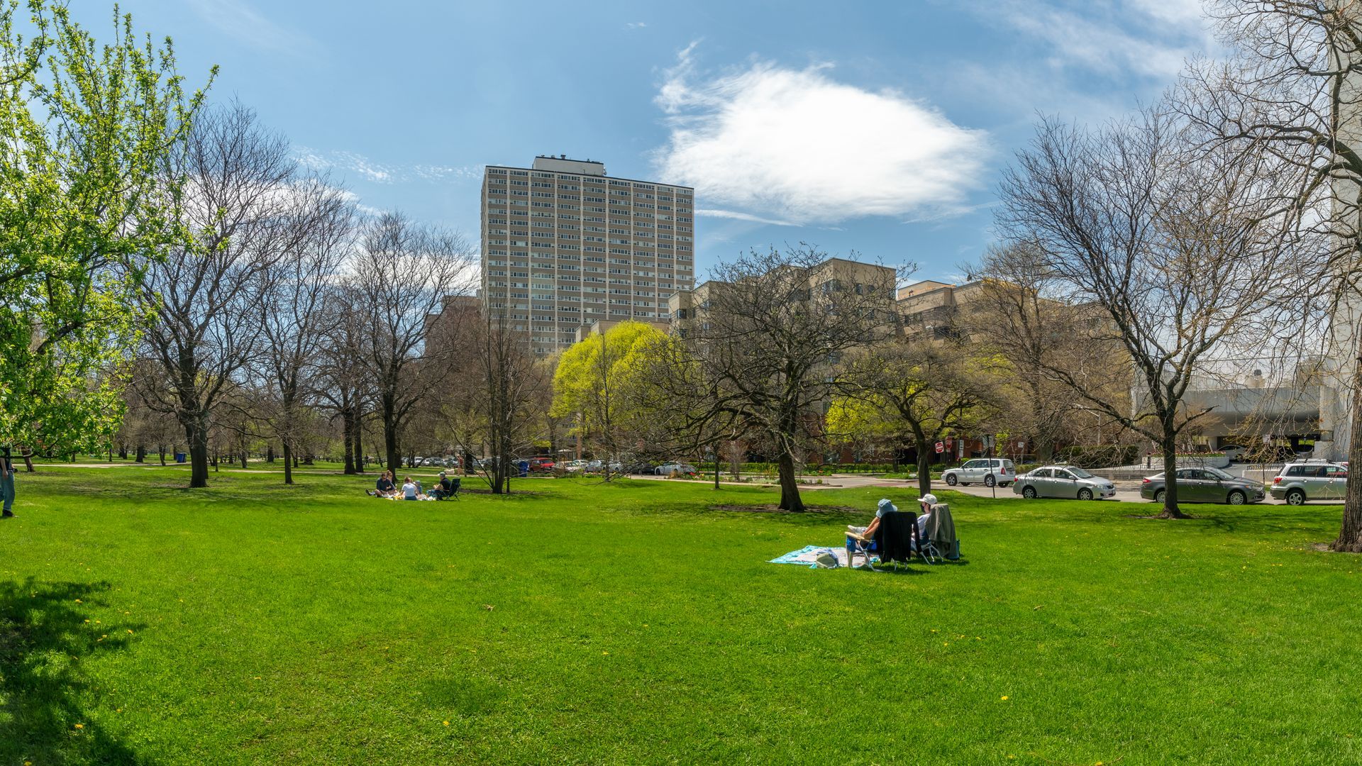 A group of people are having a picnic in a park.