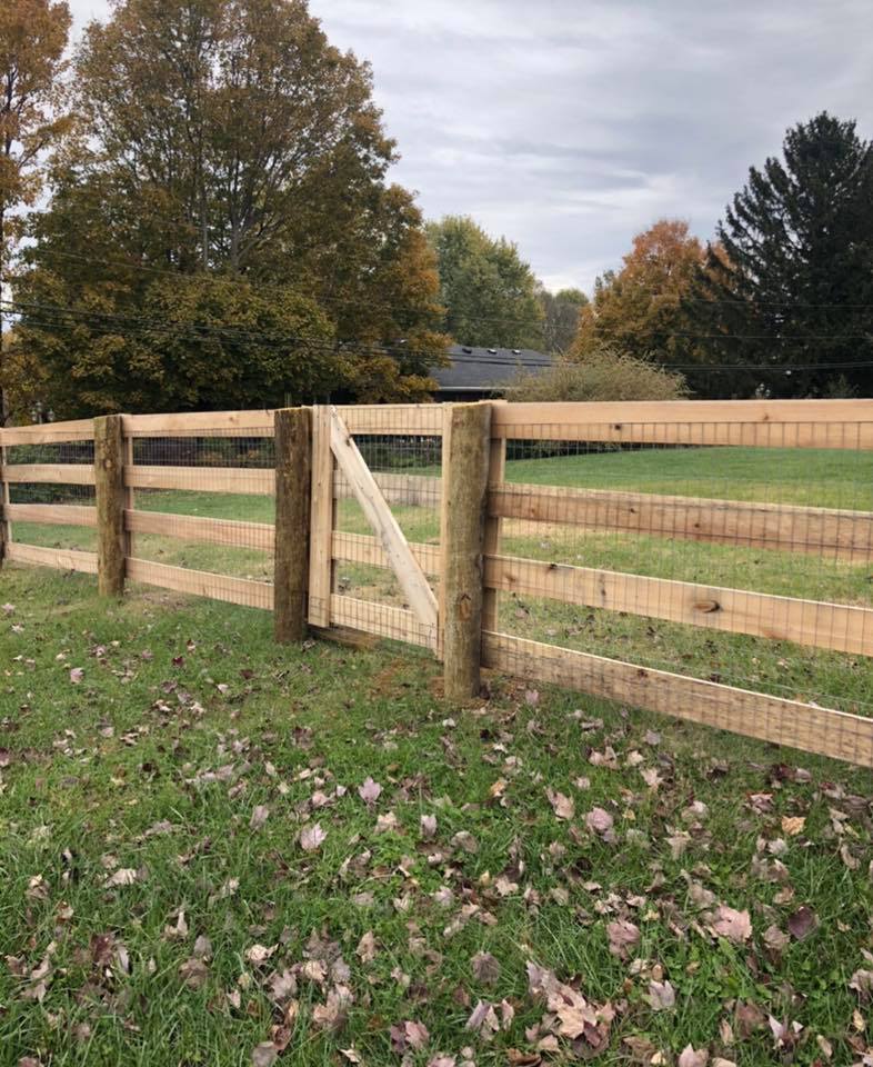 Mesh Fencing Lexington, KY