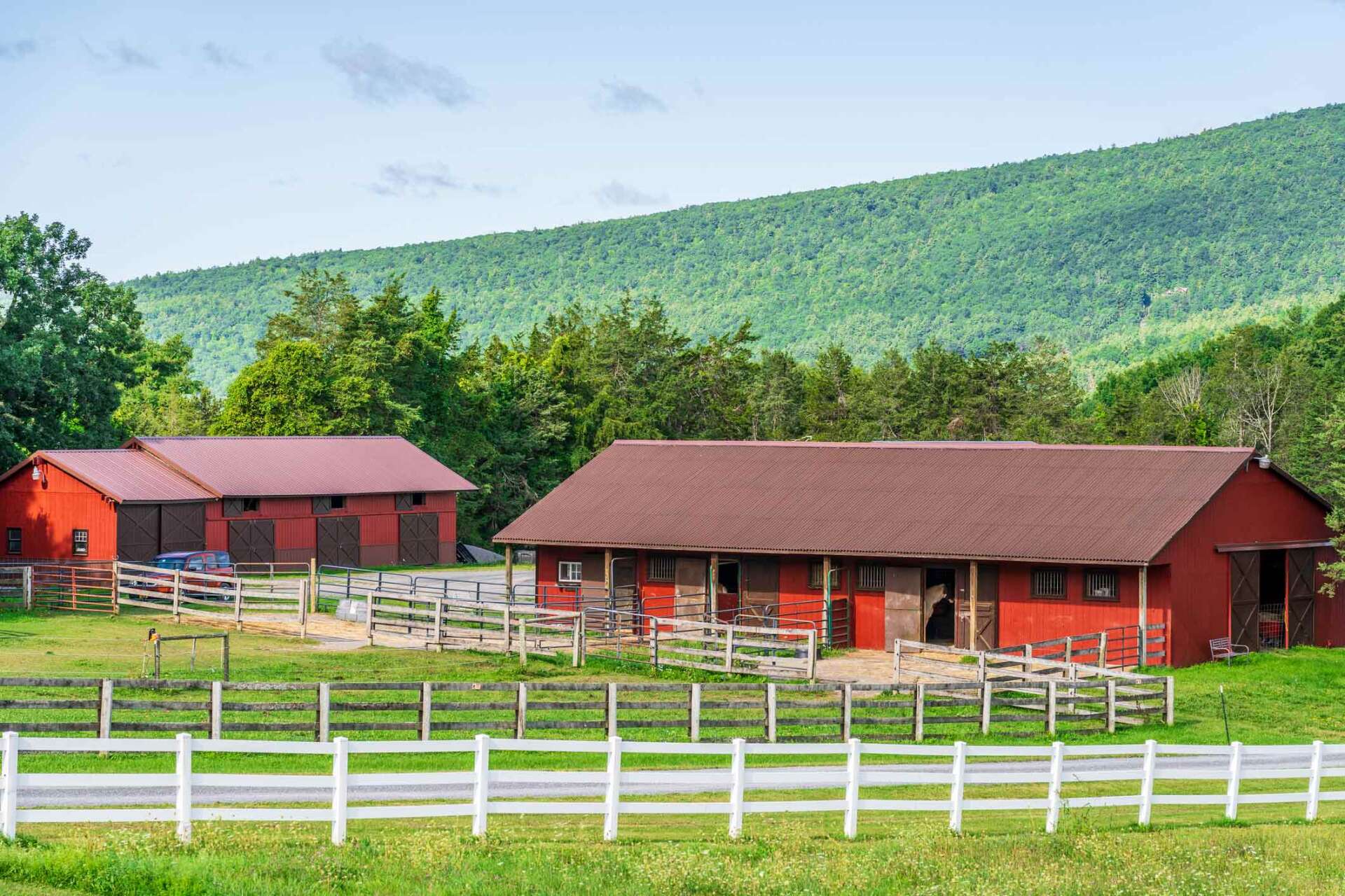 Four Board Fences Lexington, KY