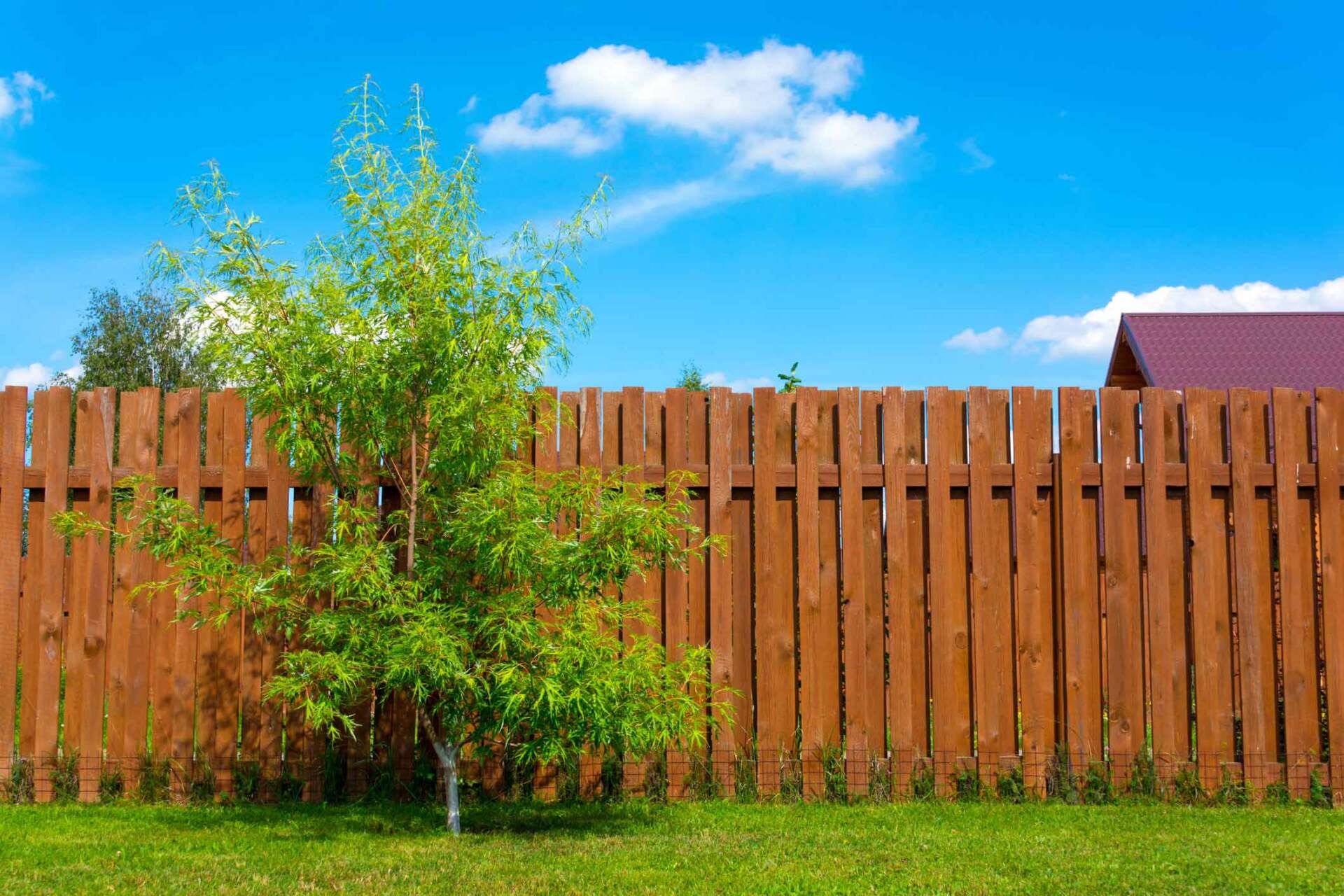 Four Board Fences Lexington, KY