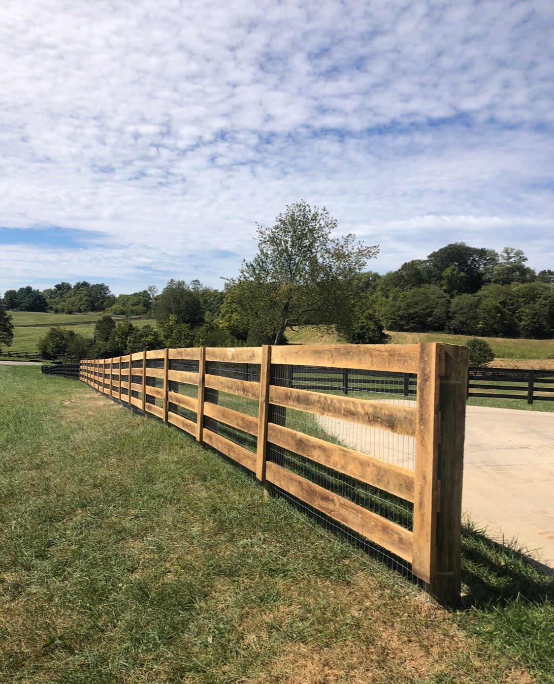 Mesh Fencing Lexington, KY