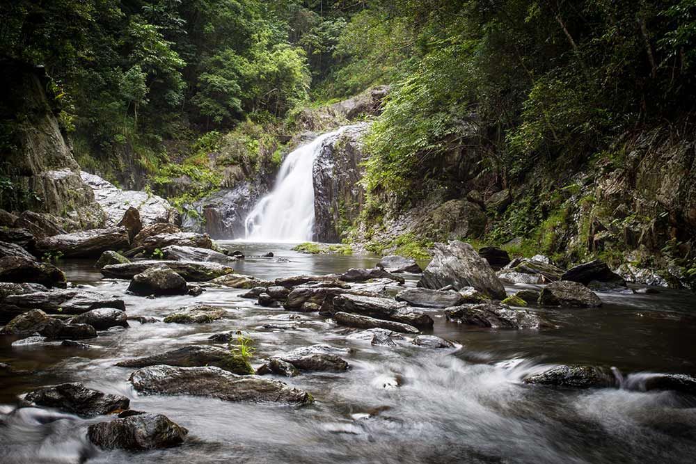 A Waterfall is Surrounded by Trees and Rocks in the Middle of a River — Cairns Property Collective in Redlynch, QLD