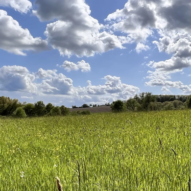 Ein sonniger Blick aus der Vogelperspektive auf schroffe, felsige Berggipfel und grüne Wälder unter klarem, blauem Himmel.